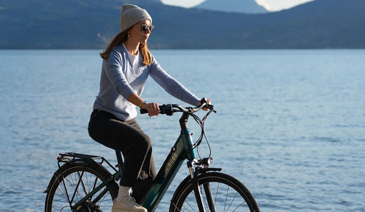 ¿Por Qué Elegir El Fiido C11 Pro? Guía Completa De Tu E-Bike Urbana Definitiva