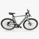 Fiido Air Bicicleta Eléctrica Ultraligera de Fibra de Carbono