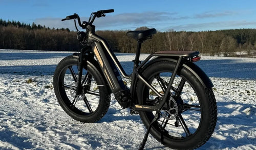 Una bicicleta eléctrica Fiido Titan está estacionada temporalmente en la nieve.