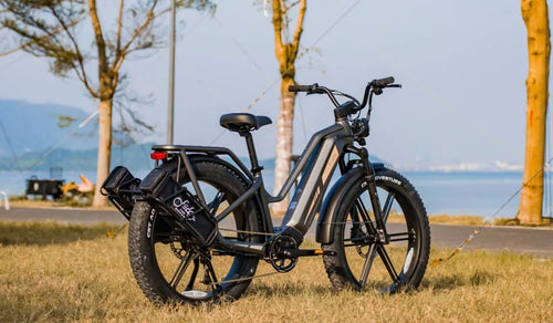 Una bicicleta eléctrica Fiido Titan está temporalmente estacionada junto al lago.