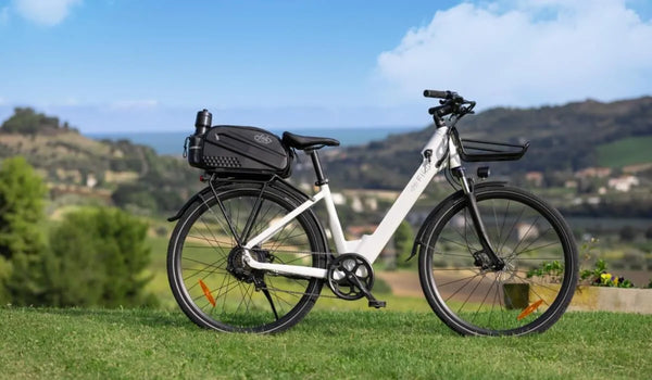 Una bicicleta eléctrica Fiido C11 está estacionada temporalmente sobre el césped.