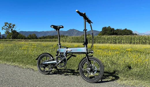 Bicicleta eléctrica D2s estacionada al borde de la carretera