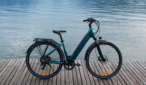 Una bicicleta eléctrica ligera Fiido C11 Pro fue aparcada temporalmente junto al lago.