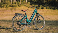 Una bicicleta eléctrica Fiido C11 estaba estacionada temporalmente al borde de la carretera.