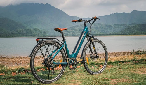 Una bicicleta eléctrica Fiido C11 Pro está aparcada temporalmente junto al lago.