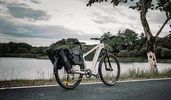 Bicicleta eléctrica de paseo Fiido Nomads aparcada junto al lago