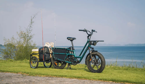 Bicicleta eléctrica de cola larga Fiido T2 estacionada junto al lago