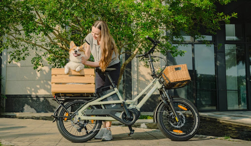 Bicicleta eléctrica de carga Fiido T3 transportando una mascota