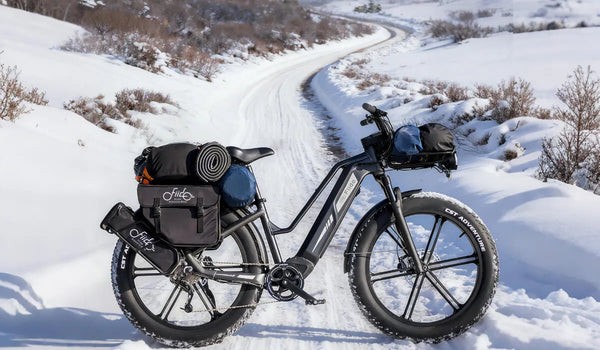 Una bicicleta eléctrica Fiido Titan de neumáticos anchos colocada en la nieve.