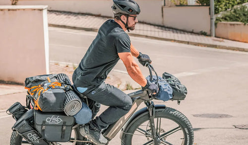 Domina la caza con Fiido Titan: tu silencioso compañero de e-bike con neumáticos fat