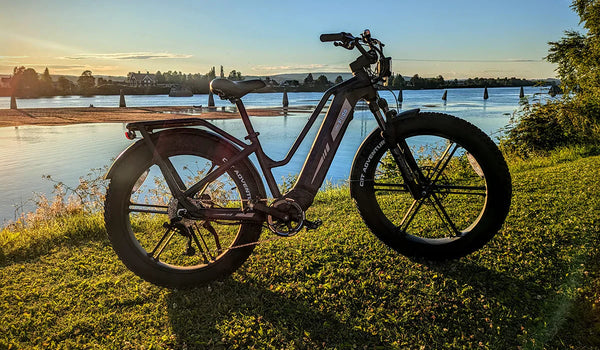 Bicicleta eléctrica Fiido Titan aparcada junto al lago