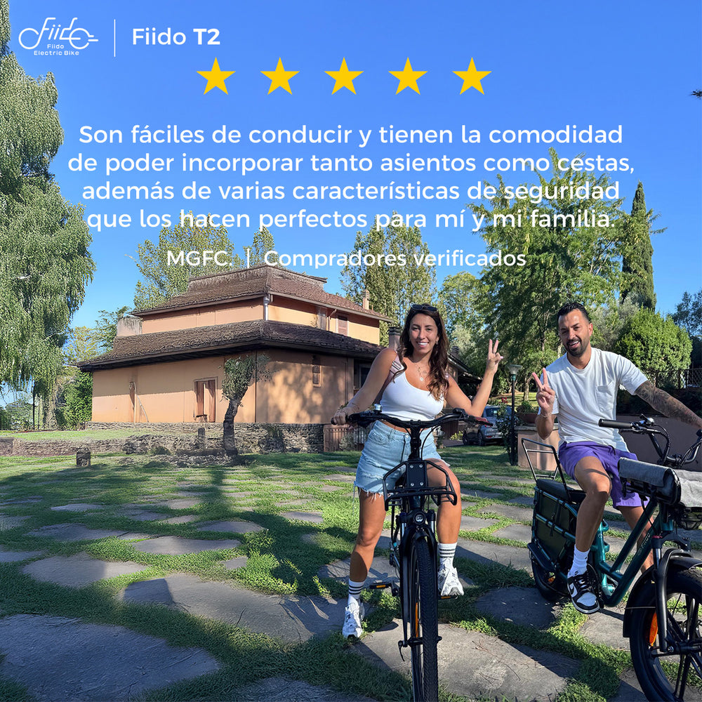 Fiido T2 Longtail Cargo E-bike