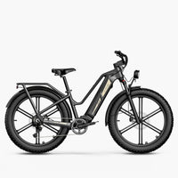 Titan Fat Tire Touring Ebike - Larga distancia