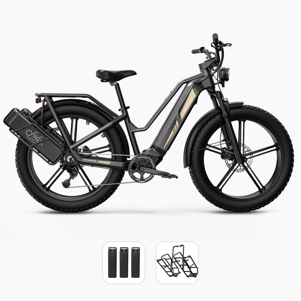 Fiido Titan Bicicleta Eléctrica de Carga Robusta con Bolsa