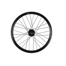 Componentes de la rueda delantera para Fiido X
