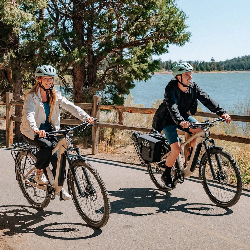 Fiido Nomads Bicicleta eléctrica de turismo