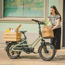 Fiido T3 Bicicleta Eléctrica de Carga Urbana Familiar
