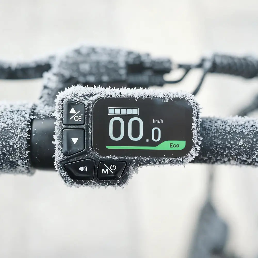 Fiido D3 Pro Bicicleta Electrica Mini, Urbana Y Casual