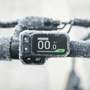 Fiido D3 Pro Bicicleta Electrica Mini, Urbana Y Casual