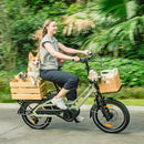 Fiido T3 Bicicleta Eléctrica de Carga Urbana Familiar