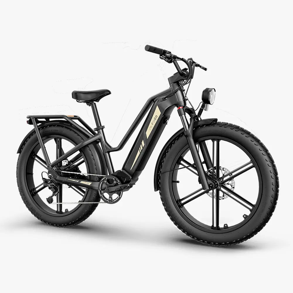 Titan Fat Tire Touring Ebike - Larga distancia