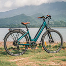 Fiido C11 Pro Bicicleta Electrica Ligera Urbana