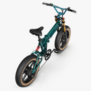 Fiido M1 Pro Bicicleta Electrica Plegable De Ruedas Gordas