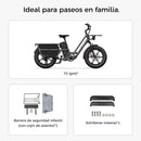 Fiido T2 Longtail Cargo E-bike