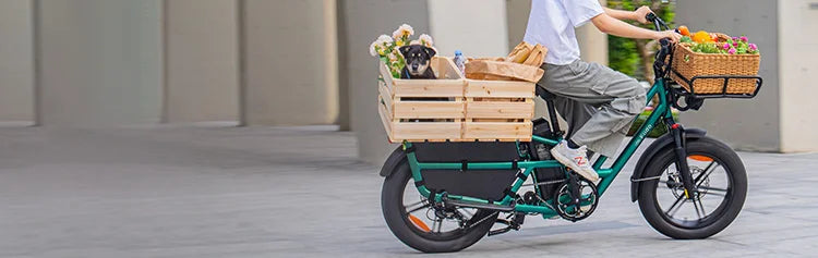 Una mujer va de compras en la bicicleta eléctrica de carga Fiido T2