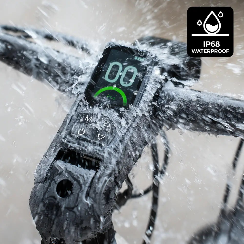 Fiido Nomads Bicicleta eléctrica de turismo