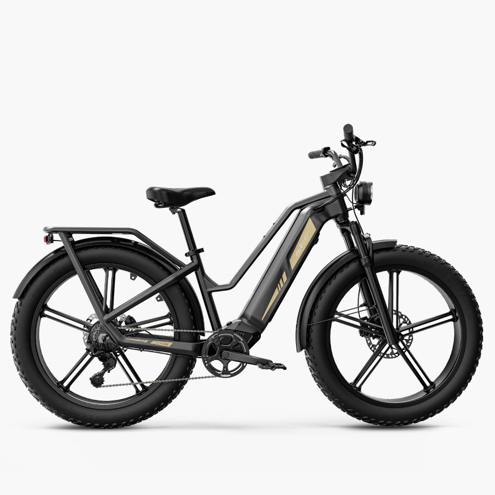 Fiido Titan Bicicleta Eléctrica de Carga Robusta