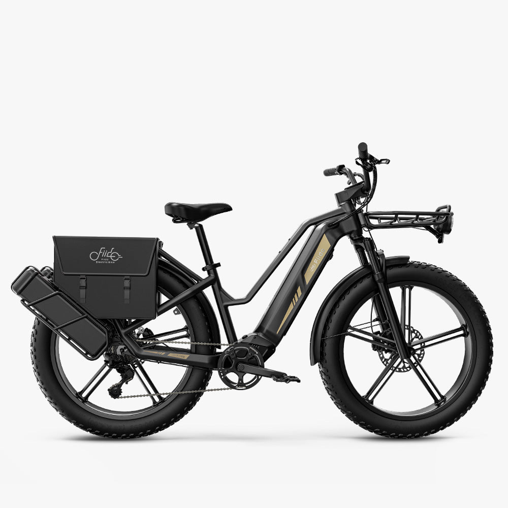 Fiido Titan Bicicleta Eléctrica de Carga Robusta con Bolsa y Cesta Delantera