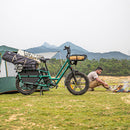 Fiido T2 Long Tail Cargo Electric Bike Parked on the Grass