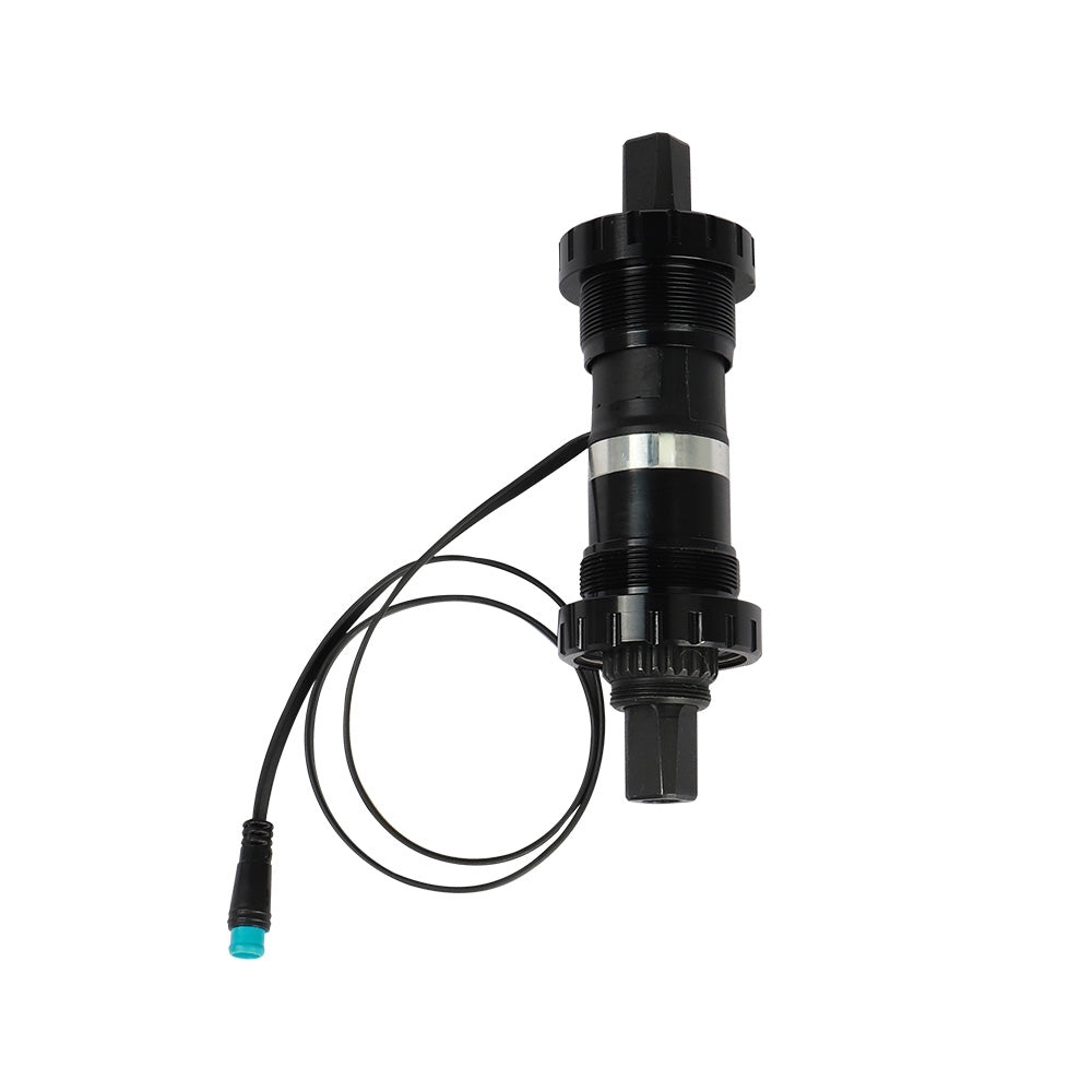 Fiido D21 Torque Sensor